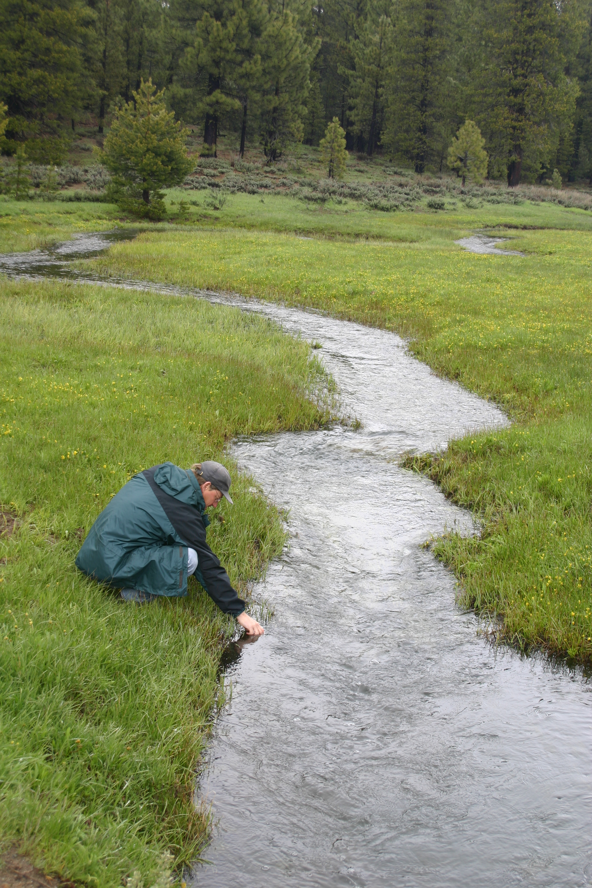 sampling on Plumas NF (1)