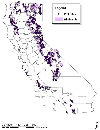 meadowcondition USFS_MeadowCTMap