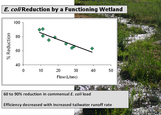 ecoli-reduction-graph