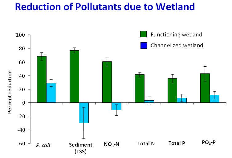 pollutants_wetland_graph