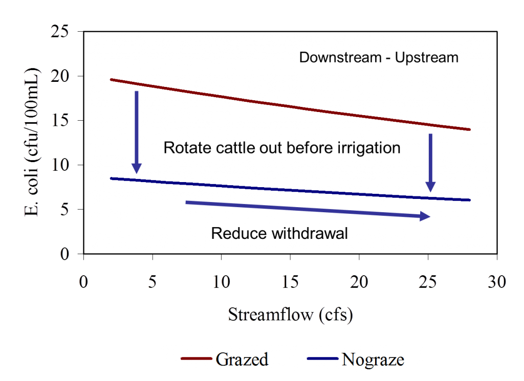 rotational grazing