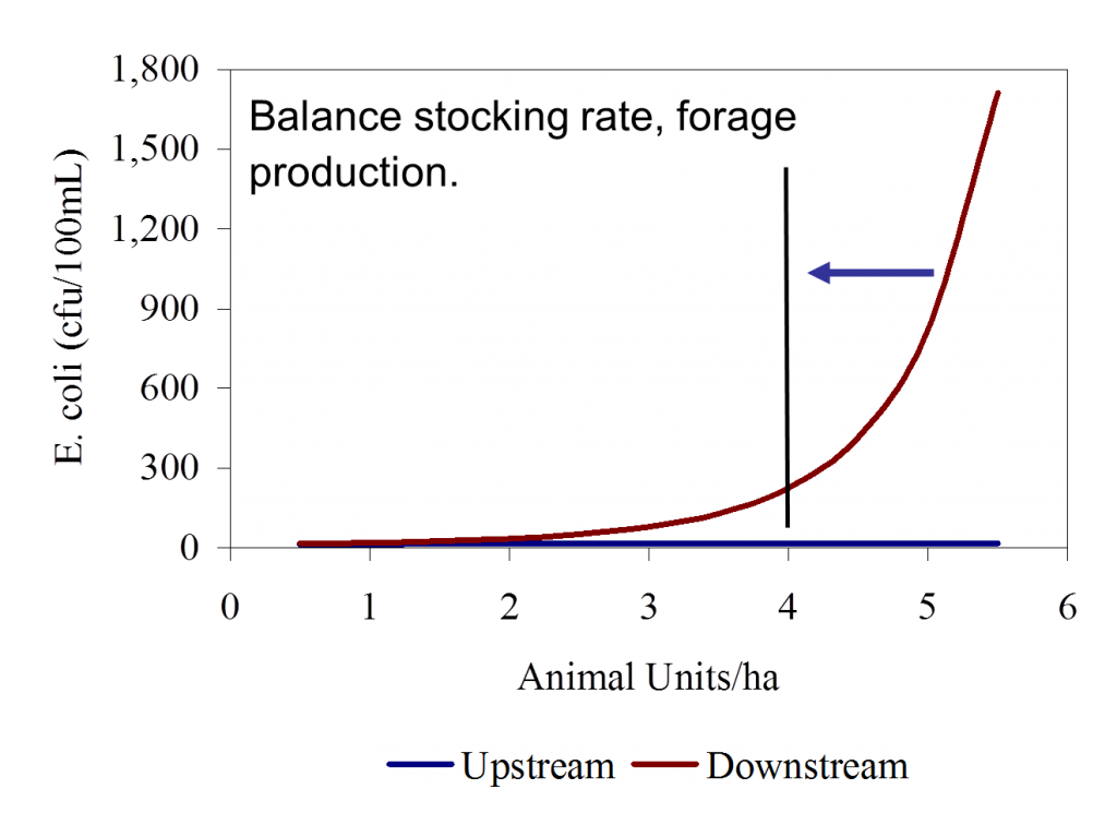 stocking rate