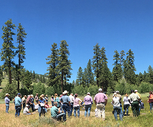 Photo of group of diverse stakeholders in meadow