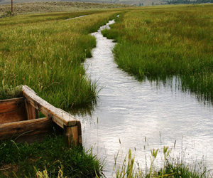 Rangeland stream and pasture