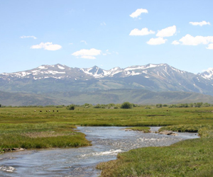 Mountain meadow stream channel