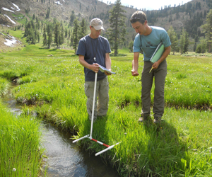 Monitoring stream channel green line