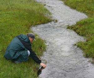 Water sample being collected from stream