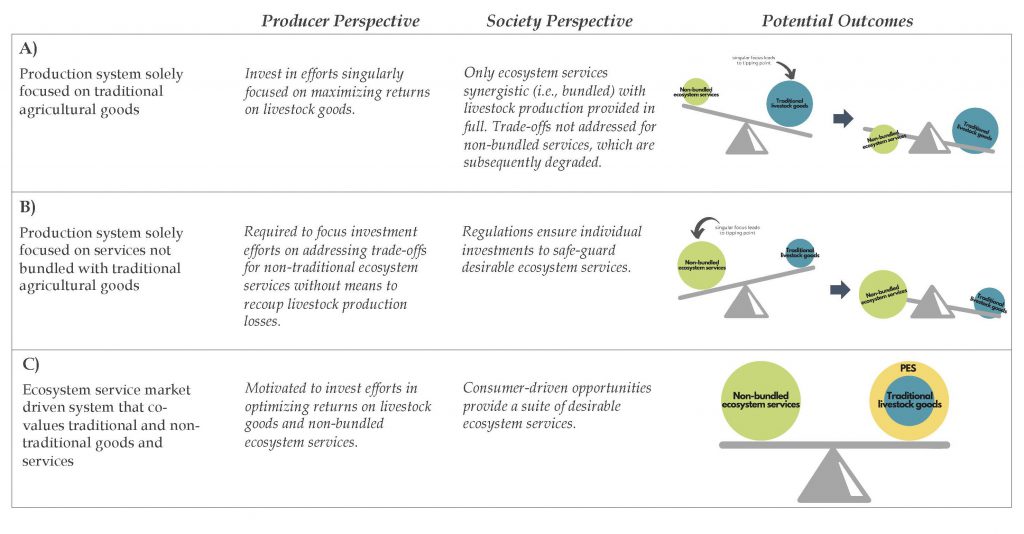 Table depicting outcomes using a balance beam concept, with 1 ball representing traditional livestock goods and 1 ball representing non-bundled ecosystem services on opposite sides of the beam.

A)	Production system solely focused on traditional agricultural goods
a.	Producer Perspective: Invest in efforts singularly focused on maximizing returns on livestock goods.

b.	Society Perspective: Only ecosystem services synergistic (i.e., bundled) with livestock production provided in full. Trade-offs not addressed for non-bundled services, which are subsequently degraded.

c.	Potential Outcomes: Singular focus on livestock goods (bigger ball) leads to tipping point—causing imbalance and collapse for both traditional livestock goods and non-bundled ecosystem services.

B)	Production system solely focused on services not bundled with traditional agricultural goods 
a.	Producer Perspective: Required to focus investment efforts on addressing trade-offs for non-traditional ecosystem services without means to recoup livestock production losses.

b.	Society Perspective: Regulations ensure individual investments to safe-guard desirable ecosystem services.

c.	Potential Outcomes: Singular focus on non-bundled ecosystem services (bigger ball) leads to tipping point—causing imbalance and collapse for both traditional livestock goods and non-bundled ecosystem services.

C)	Ecosystem service market driven system that co-values traditional and non-traditional goods and services
a.	Producer Perspective: Motivated to invest efforts in optimizing returns on livestock goods and non-bundled ecosystem services.

b.	Society Perspective: Consumer-driven opportunities provide a suite of desirable ecosystem services.

c.	Potential Outcomes: Payments for ecosystem services (PES) provide additional support (‘weight’) for the smaller livestock goods ball, resulting in both balls being equally balanced.