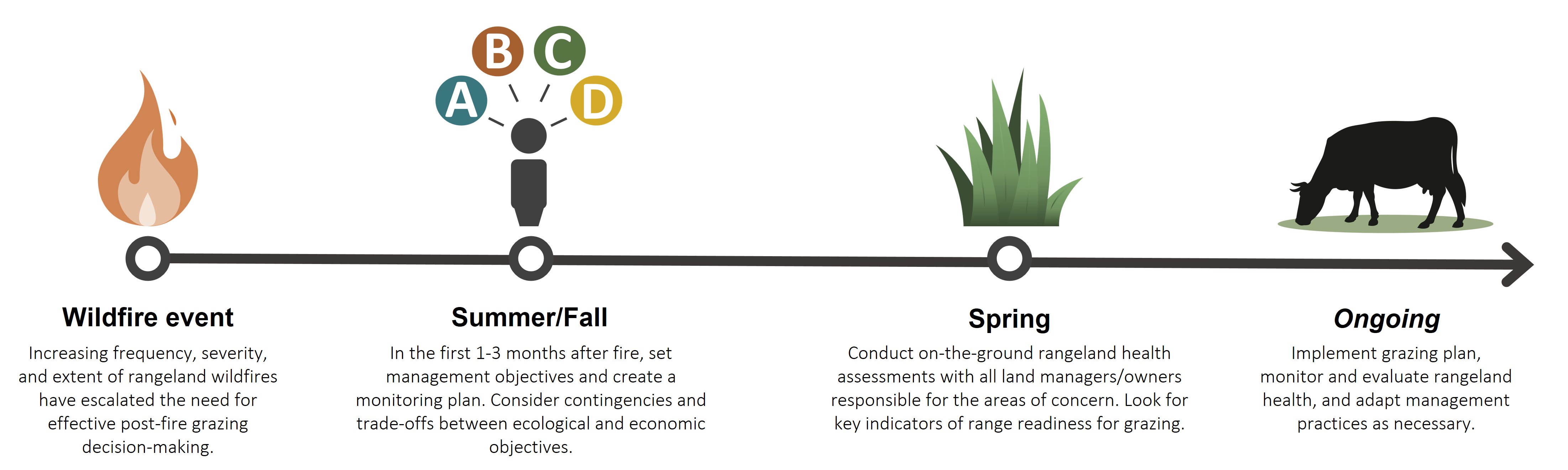 Post-fire decision-making timeline: (flame image) Wildfire event - Increasing frequency, severity, and extent of rangeland wildfires have escalated the need for effective post-fire grazing decision-making. (person with "A,B,C,D" above head) Summer/Fall - In the first 1-3 months after fire, set management objectives and create a monitoring plan. Consider contingencies and trade-offs between ecological and economic objectives. (grass image) Spring - Conduct on-the-ground rangeland health assessments with all land managers/owners responsible for the areas of concern. Look for key indicators of range readiness for grazing. (cow grazing image) Ongoing - Implement grazing plan, monitor and evaluate rangeland health, and adapt management practices as necessary.